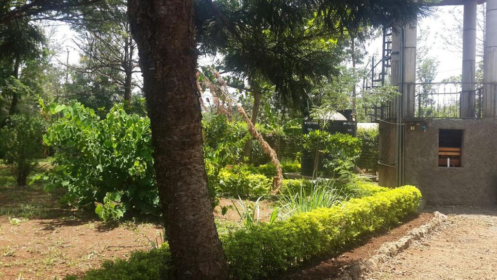Mama Simba Bed And Breakfast Moshi Esterno foto