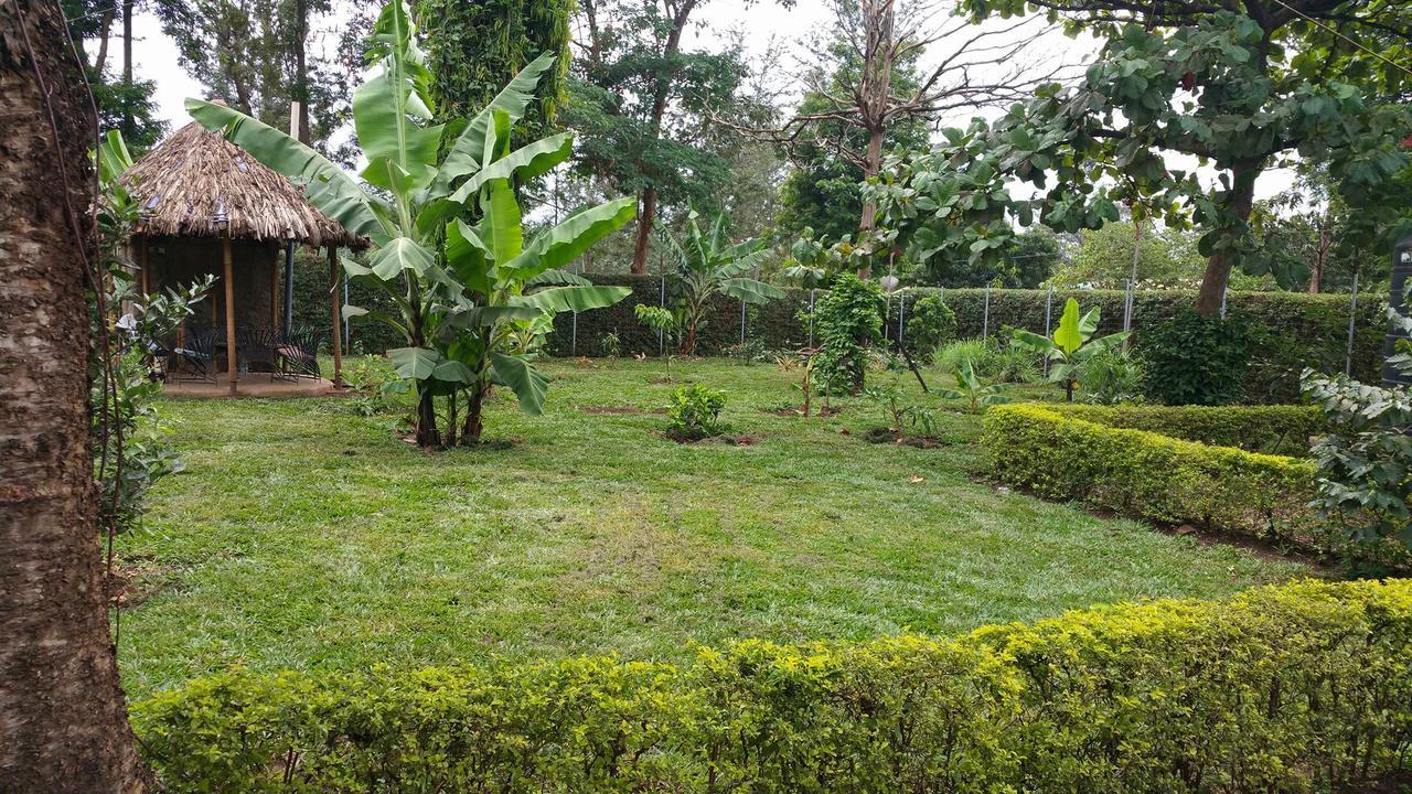 Mama Simba Bed And Breakfast Moshi Esterno foto